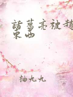 诸葛亮被赵云塞东西