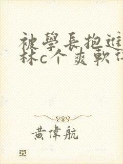 被学长抱进小树林c个爽软件