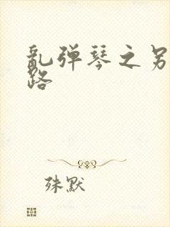 乱弹琴之另一条路