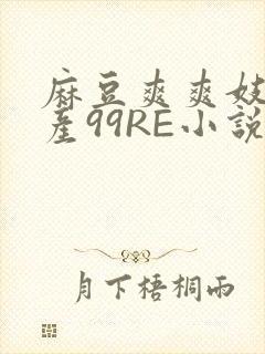 麻豆爽爽妓女国产99RE小说