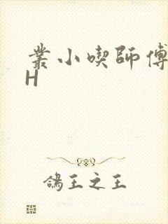 丛小吃师傅的HH