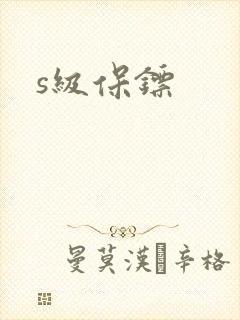 s级保镖