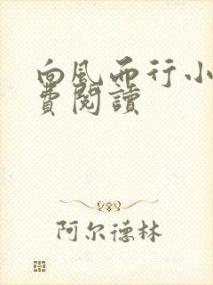 向风而行小说免费阅读