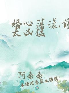 婚心荡漾,前夫太凶猛