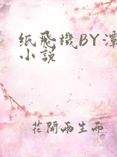纸飞机BY潭石小说