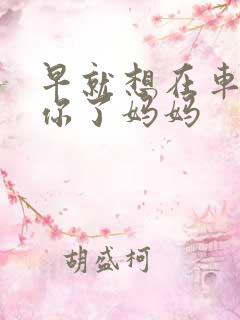 早就想在车里要你了妈妈