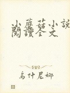 小蘑菇小说免费阅读全文