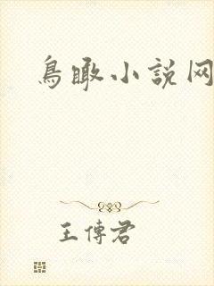 鸟瞰小说网