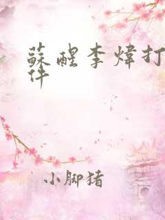 苏醒李炜打架事件