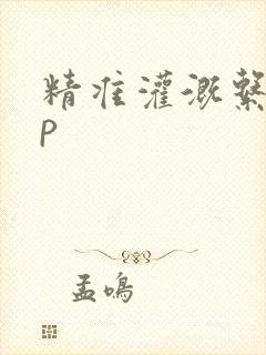 精准灌溉系统hp