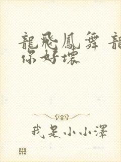 龙飞凤舞 龙王你好坏