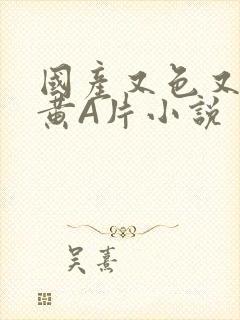 国产又色又爽又黄A片小说