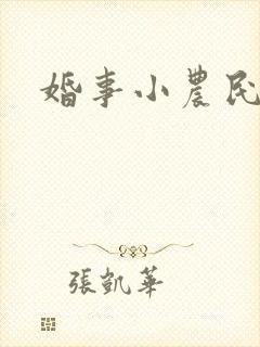 婚事小农民