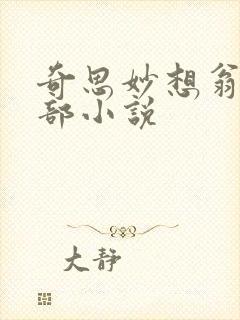 奇思妙想翁的全部小说