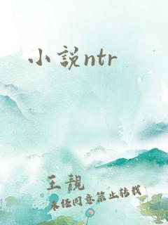 小说ntr