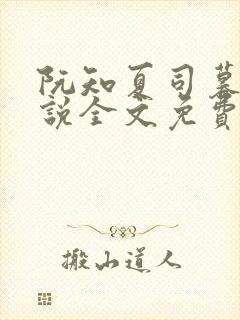 阮知夏司暮寒小说全文免费