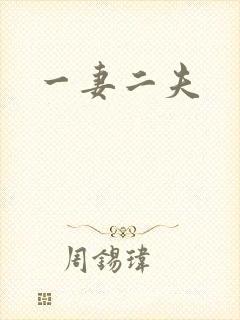 一妻二夫