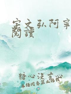宇文弘阿宁全文阅读