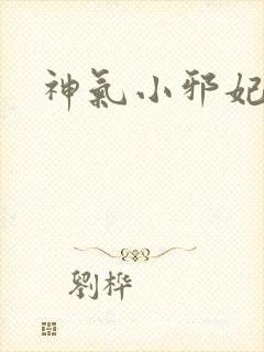 神气小邪妃