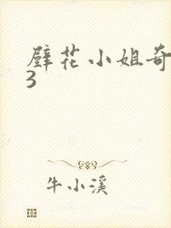 壁花小姐奇遇记3