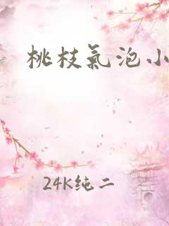 桃枝气泡小说