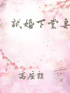 试婚下堂妻