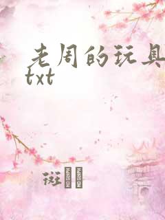 老周的玩具日记txt