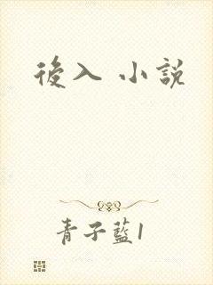 后入 小说