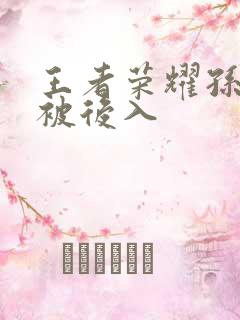 王者荣耀孙尚香被后入