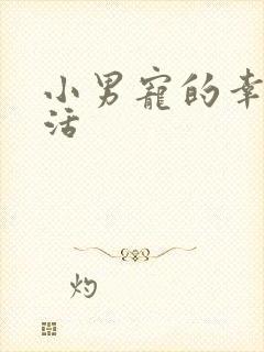 小男宠的幸福生活