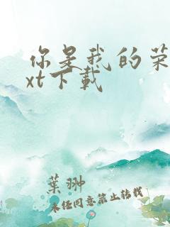 你是我的荣耀txt下载