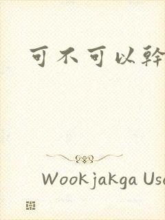 可不可以干湿你