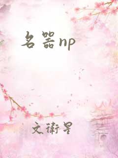 名器np