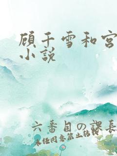 顾千雪和宫凌沨小说