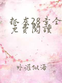 抓灰28章全部免费阅读