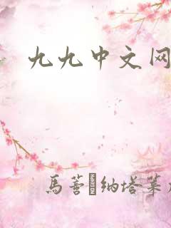 九九中文网