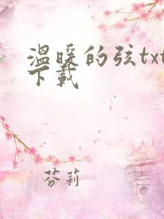 温暖的弦txt下载