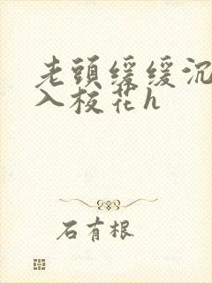 老头缓缓沉腰进入校花h