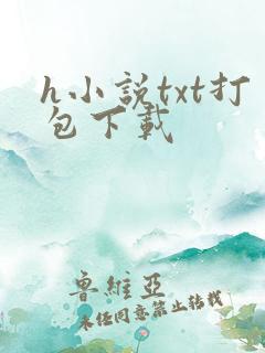 h小说txt打包下载