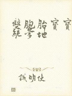 双胞胎宝宝的总统爹地