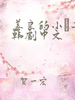 善良的小峓子2韩剧中文