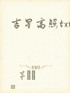 吉星高照txt