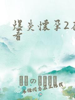 爆炎怀孕2在线看