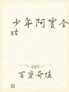 少年阿宾全集txt