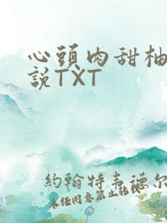 心头肉甜柚子小说TXT