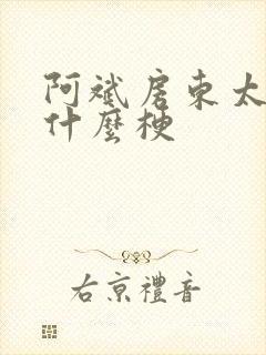 阿斌房东太太是什么梗