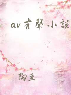 av有声小说