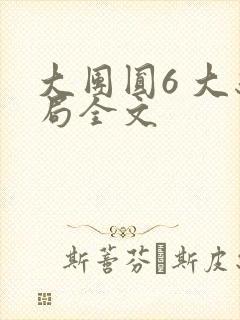 大团圆6 大结局全文