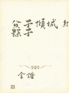 公子倾城 维和粽子