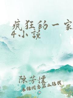 疯狂的一家ps4小说